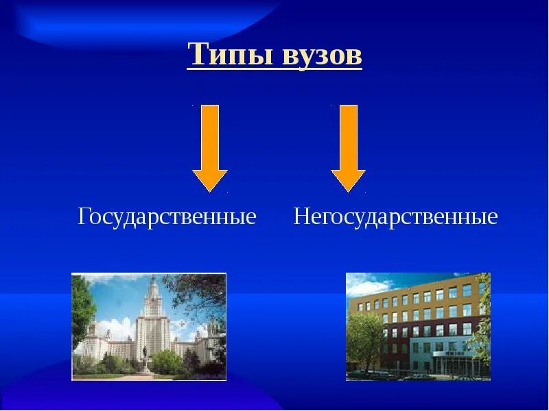 Типы вузов. Типы университетов. Государственные институты. Типы университетов в России.