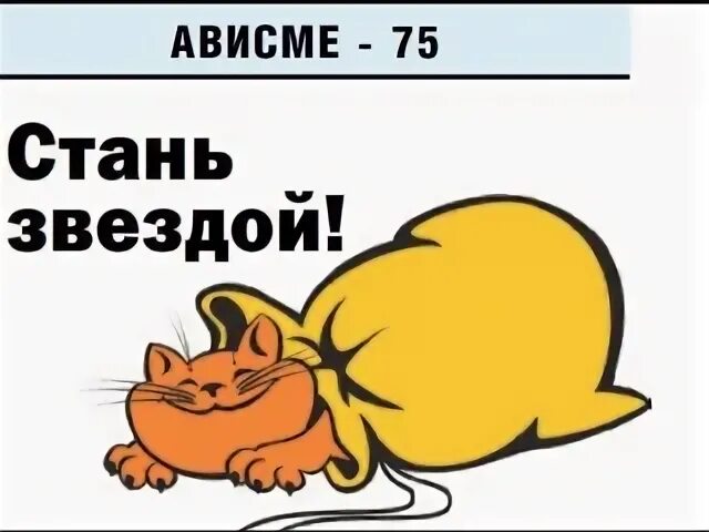 Кот в мешке передача. Кот в мешке передача
