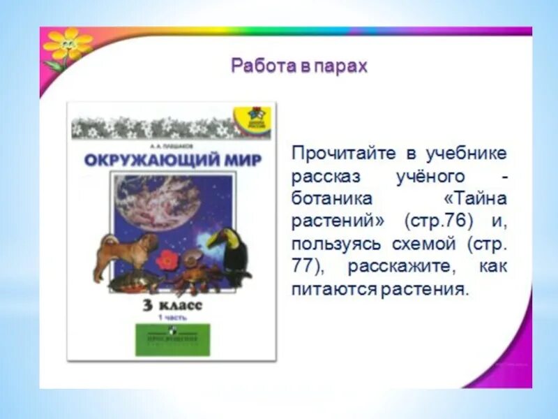 Солнце растения и мы 3 класс. Солнце растения и мы с вами 3 класс окружающий мир сообщение. конспект урока 3 класса на тему солнце растение и мы с вами. окружающий мир 3 класс школа россии солнце растения и мы с вами. реферат по окружающему миру на тему солнце растения и мы с вами.