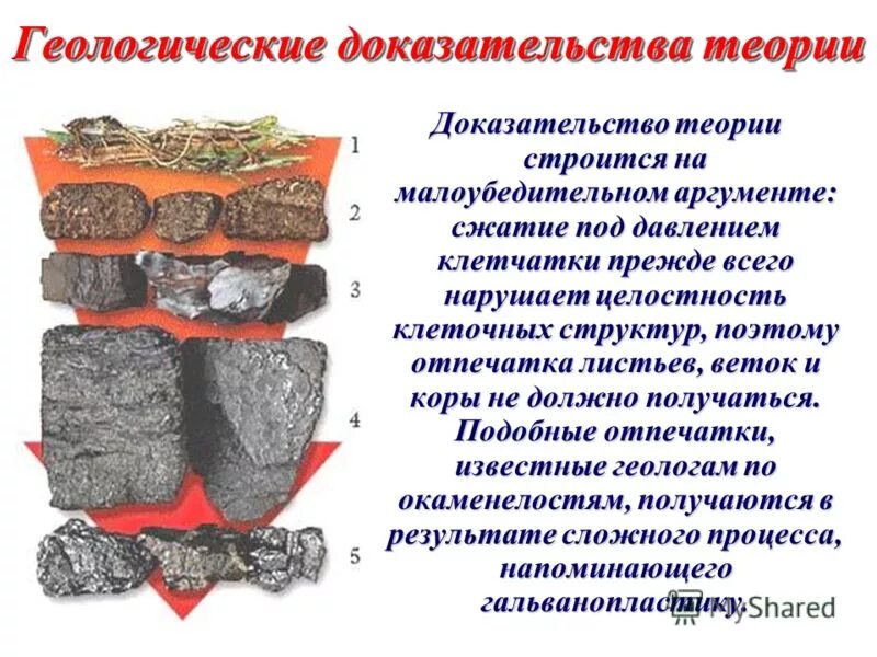 Образование каменного угля 5. Теории геологии. Каменный уголь Геология. Теория образования каменного угля. Этапы образования угля.