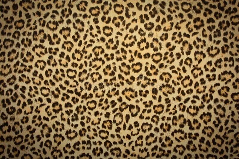 Leonord retro. Leonord retro. Брошь леопард. Розовый леопард на молочной базе. Штопор retro камуфляж koala.