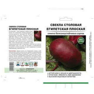 Свекла египетская плоская описание сорта