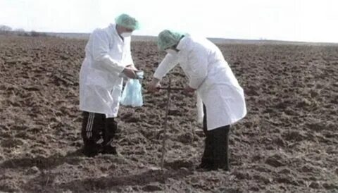 Рекультивация земель загрязненных тяжелыми металлами