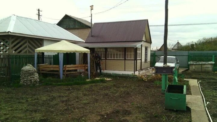 Снт нежинка оренбург. Снт нежинка оренбург фиалка.