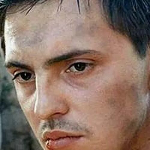 Андрей терентьев биография личная жизнь Андрей Терентьев С Женой Фото