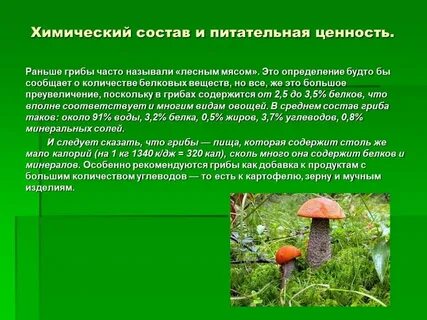 Грибы состав