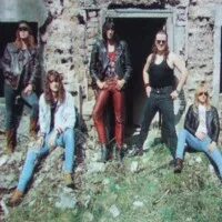 Risk 1989 - hell's animals. Арктида состав группы. Risk группа. Группа арктиды животных. Megadeth "risk".