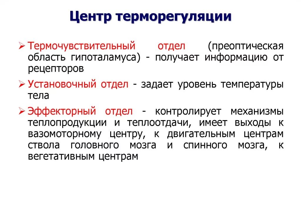 Гипоталамические центры терморегуляции. Центр теплоотдачи в гипоталамусе. Основные центры терморегуляции. Терморегуляция центры терморегуляции.