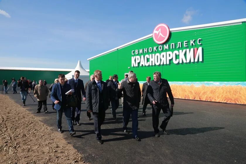 Сельское хозяйство красноярского. Свинокомплекс Красноярский. Свинокомплекс Красноярский большая Мурта. Большая Мурта Красноярский край свинокомплекс. Сельскохозяйственные предприятия Красноярского края.