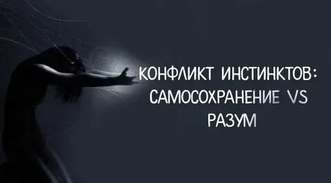 Инстинкт самосохранения пример