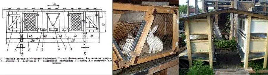 Клетки для кроликов Комова Кузьмина. Размер клетки для кроликов с маточником схема. Размеры клетки для кроликов с маточником. Кроличья клетка с маточником. Фото чертежей клеток для кроликов