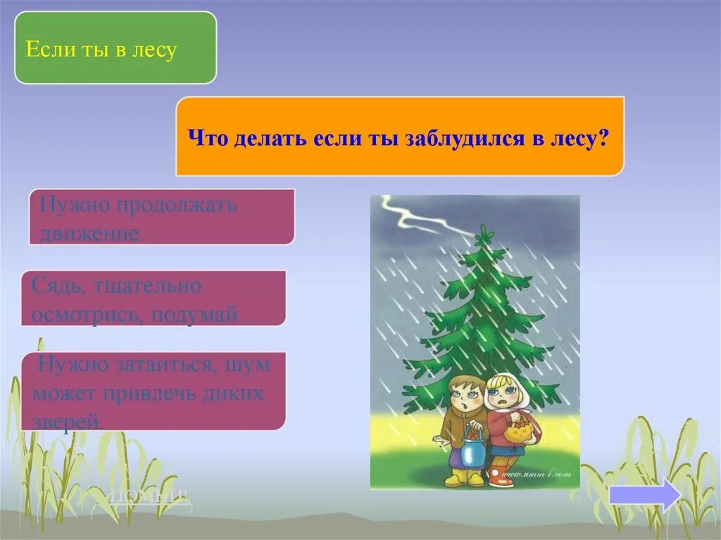 Что есть если заблудился в лесу. Что делать если заблудился в лесу. памятка для заблудившихся в лесу. что делать если потерялся в лесу. действия если заблудился в лесу.