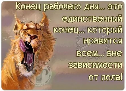 Конец дня смешные картинки