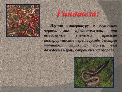 Прочитай рассказ уважайте жизнь дождевого червя