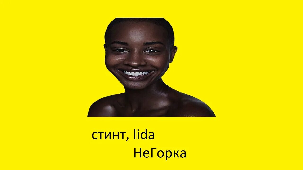 Стинт негорка текст. Стинт и лида. лида твич. негорка. стинт мем.