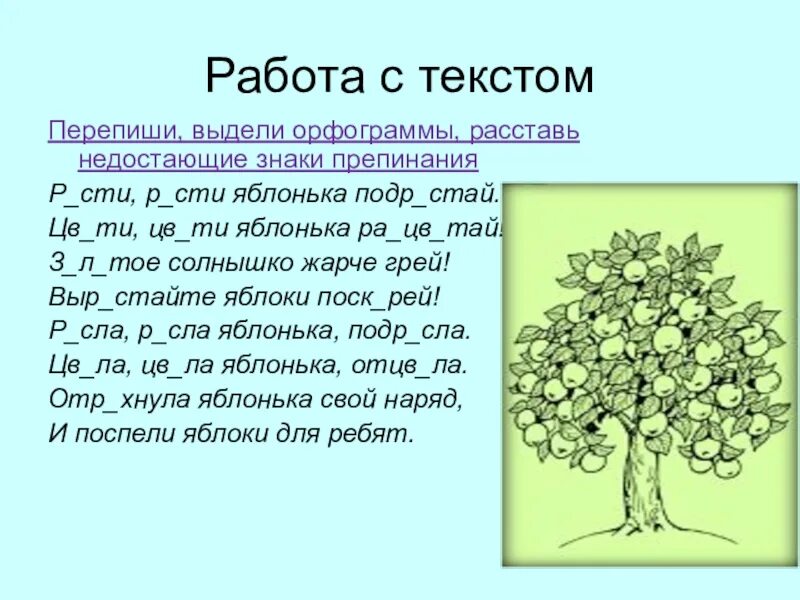 Яблонька текст. Рассказ Дикая Яблонька. Сочинение Дикая Яблонька. Текст Яблонька. Яблонька яблоко выделить корень.