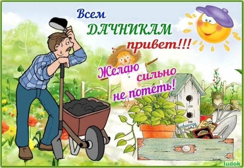 Текст летом у нас на грядках появились. День дачника. День дачника в России. С праздником дачника. Поздравить с днем дачника.