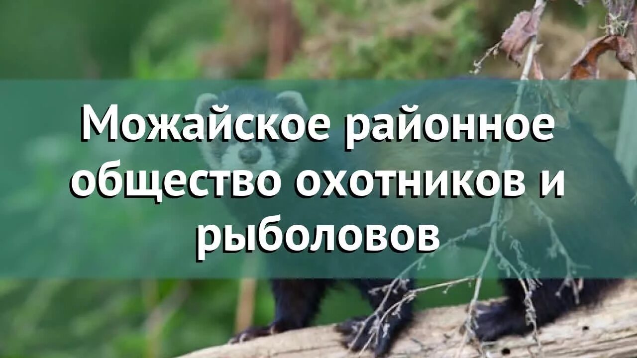 Областное общество охотников и рыболовов ярославль. Районное общество охотников и рыболовов. Районное общество охотников и рыболовов. Ногинское общество охотников и рыболовов. Большереченское охот общество.