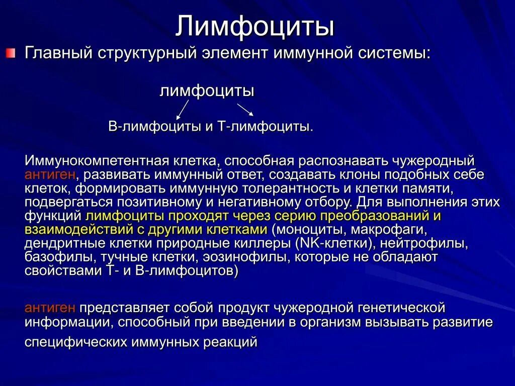 Т и в лимфоциты это