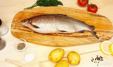 Пелядь свежемороженая