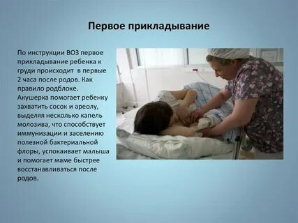 Первое прикладывание после родов