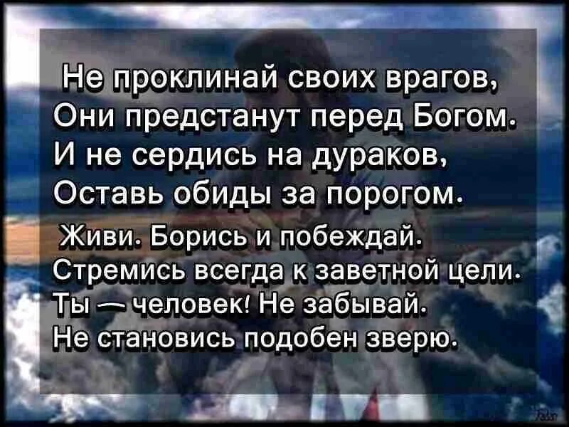 Статусы не проси. Не проклинай своих врагов. Стих не проклинай своих врагов. Не проклинай своих врагов они предстанут перед Богом. Все предстанут перед Богом цитаты.