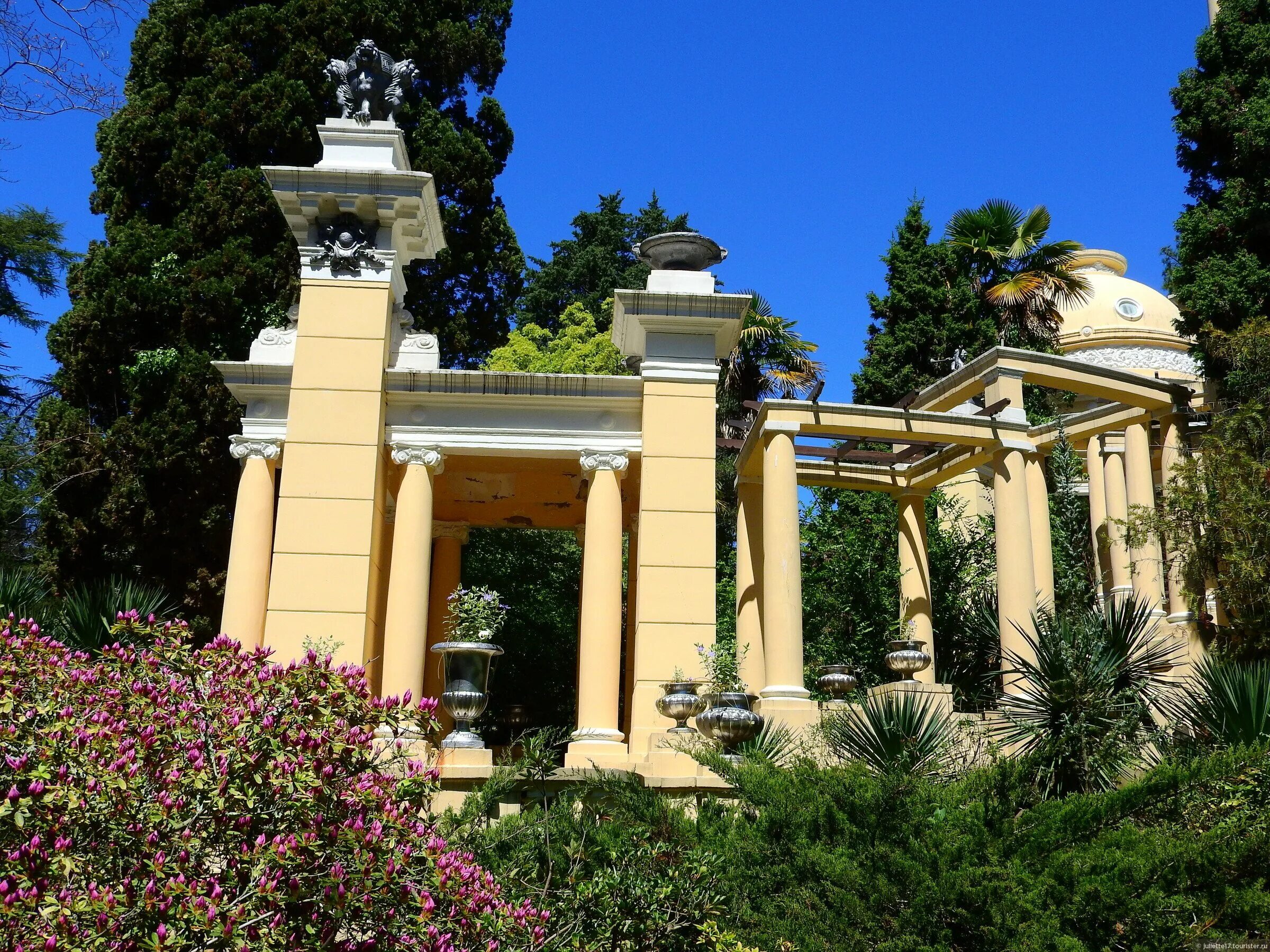 Кипарис дендрарий сочи. Сочинский дендрарий сочи. Дендрарий сочи лес. Дендрологический парк кишинев. Дендрария видео.