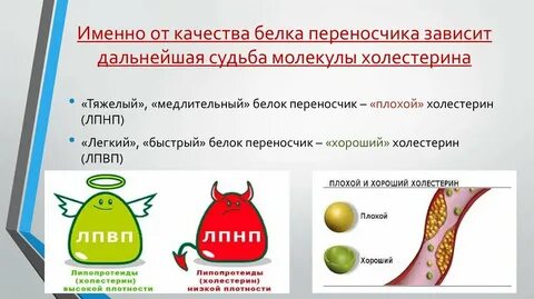 Качество белков