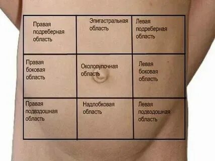Почему болит левая сторона живота у девушки