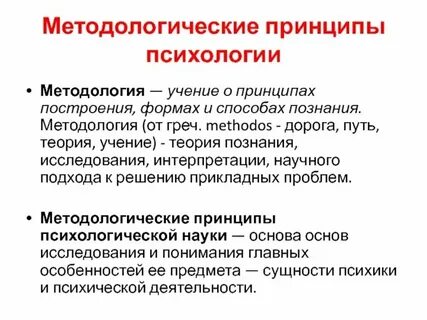 Принципы построения научной теории