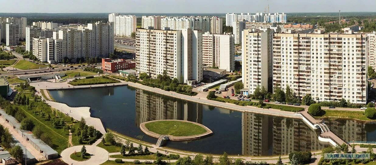 Арво зеленоград. Михайловский пруд зеленоград. михайловский пруд зеленоград 15 мкр. михайловские пруды зеленоград 15 район. зеленоград 15 микрорайон.