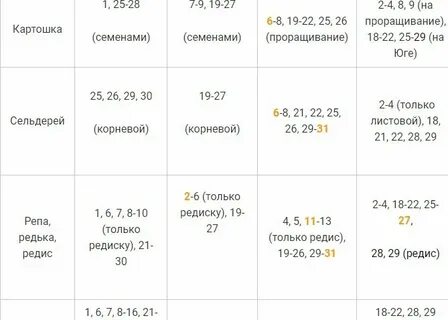 Лунный календарь посадок осенью 2024