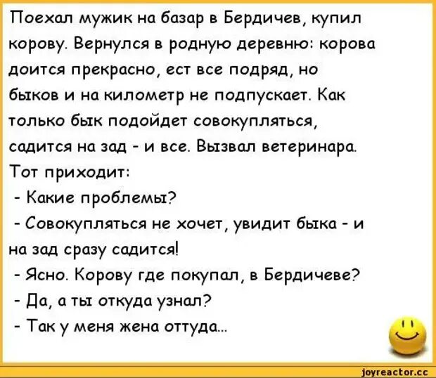 Песня еду к мужику а вас че. Анекдот про корову и мужика. Анекдот про Быков. Анекдот про быка и корову. Анекдот про быка.