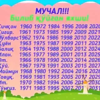 Мучаллар