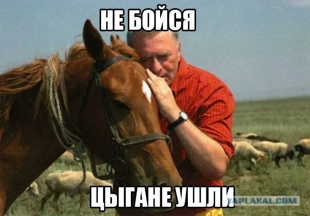 кража лошадей. ворующий лошадей. падение с лошади. не бойся цыгане уже ушли. кража лошадей.