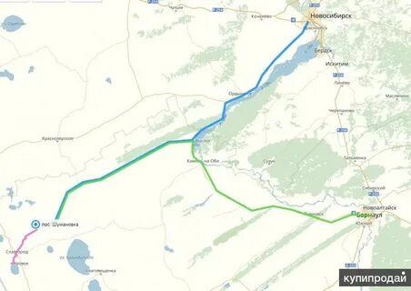Алтайское славгород расстояние