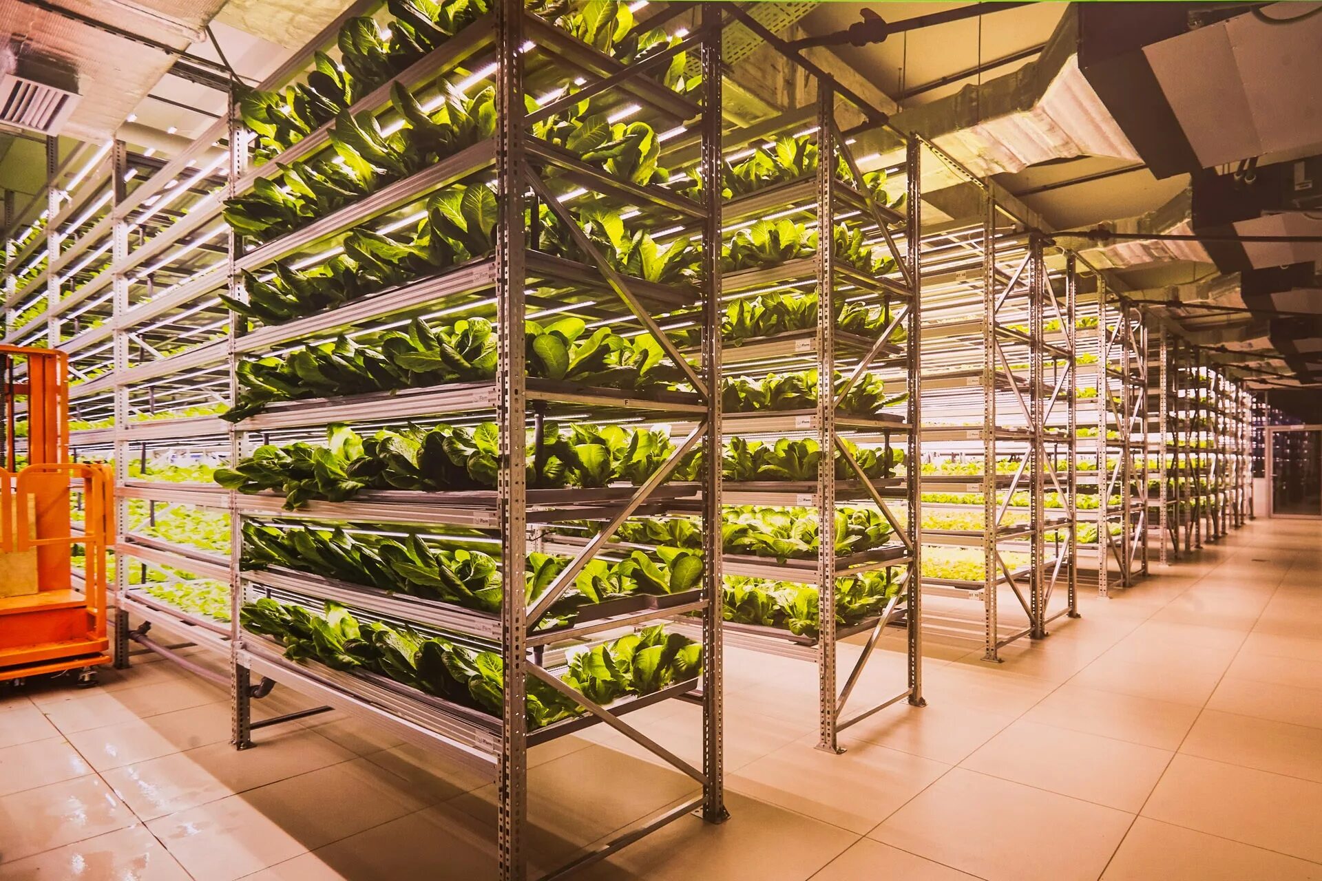 Ферма данных. Вертикальные фермы ifarm. сити-ферма ifarm.. вертикальная ферма &quot;илиотек&quot;. салатная ферма.