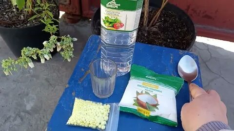 Щавелевая кислота для голубики