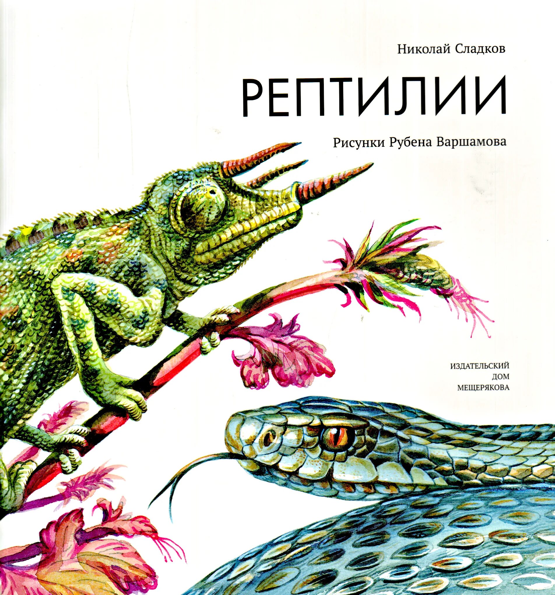 Рептилии на н. Николай сладков рептилии. николай сладков рептилии книга. карр арчи рептилии. книга змеи и другие рептилии.