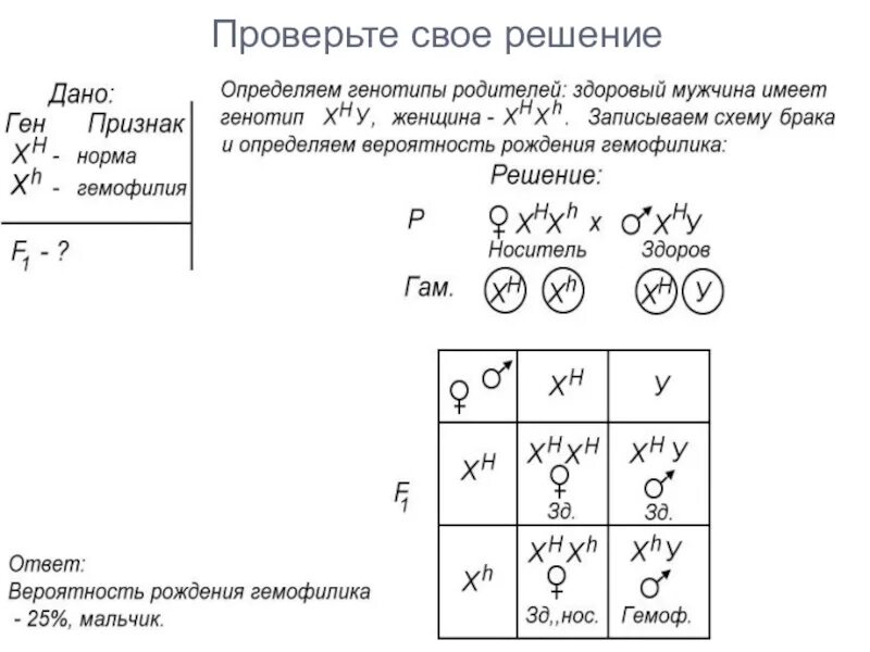 Решение задач по генетике. Задачи на сцепленное с полом наследование. Задачи на сцепленное с полом наследование 9 класс. Задачи по наследованию биология.