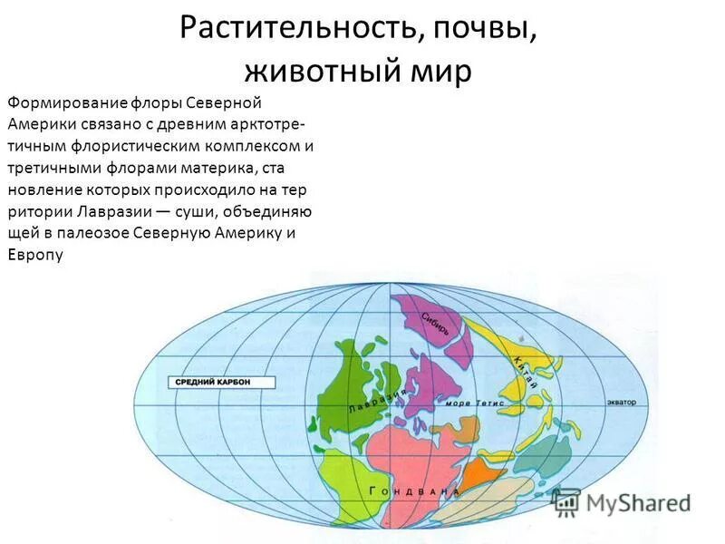 объекты береговой линии северной америки. площадь км2 северная америка. рекорды озёр мира. площадь км2 северная америка. площадь км2 северная америка.