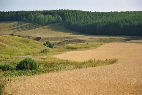 Татария