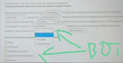 Какое слово пропущено выбери 1 вариант ответа