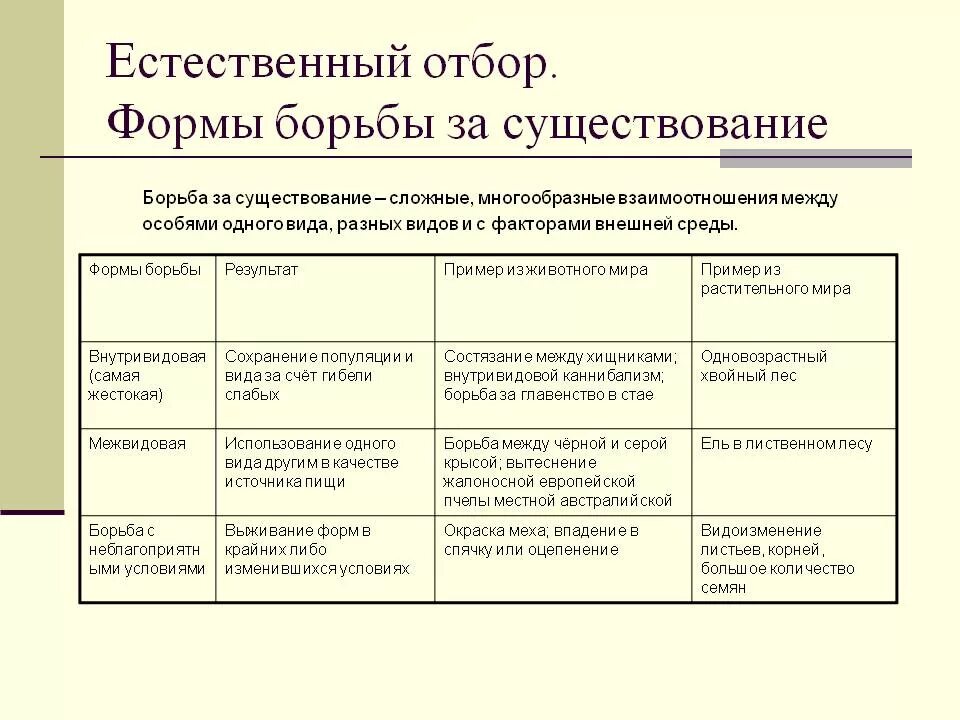 Таблица естественный отбор 9 класс биология. Естественный отбор таблица форма борьбы. Формы борьбы за существование и естественный отбор. Формы естественного отбора таблица с примерами. Формы борьбы за существование формы естественного отбора.