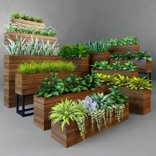 Plants интернет магазин