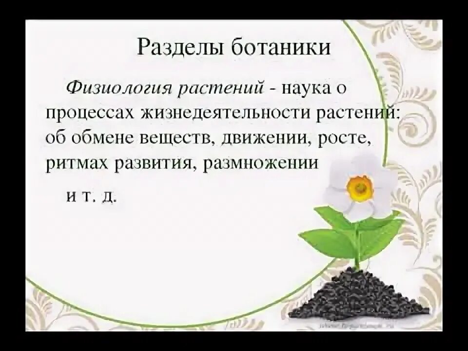 Значение в области какой ботанической. Физиология растений. Что такое физиология растений в биологии. Физиологические растения. Физиологические процессы растений.