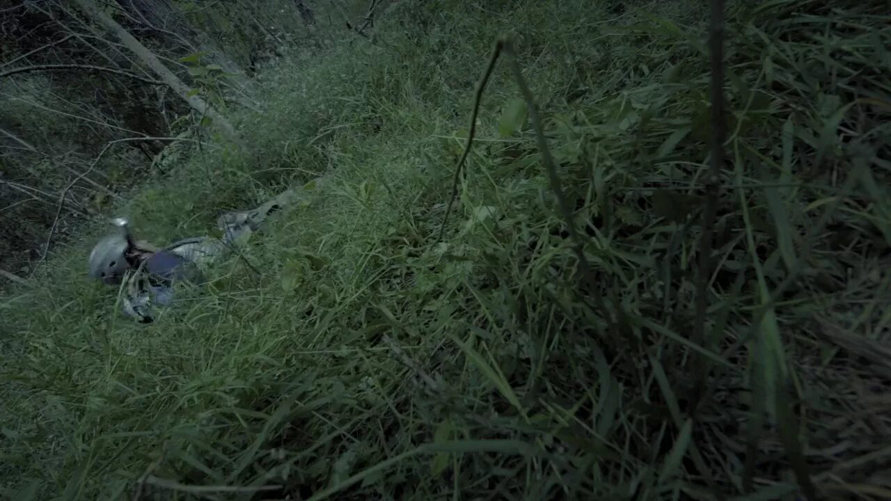 существа 2014