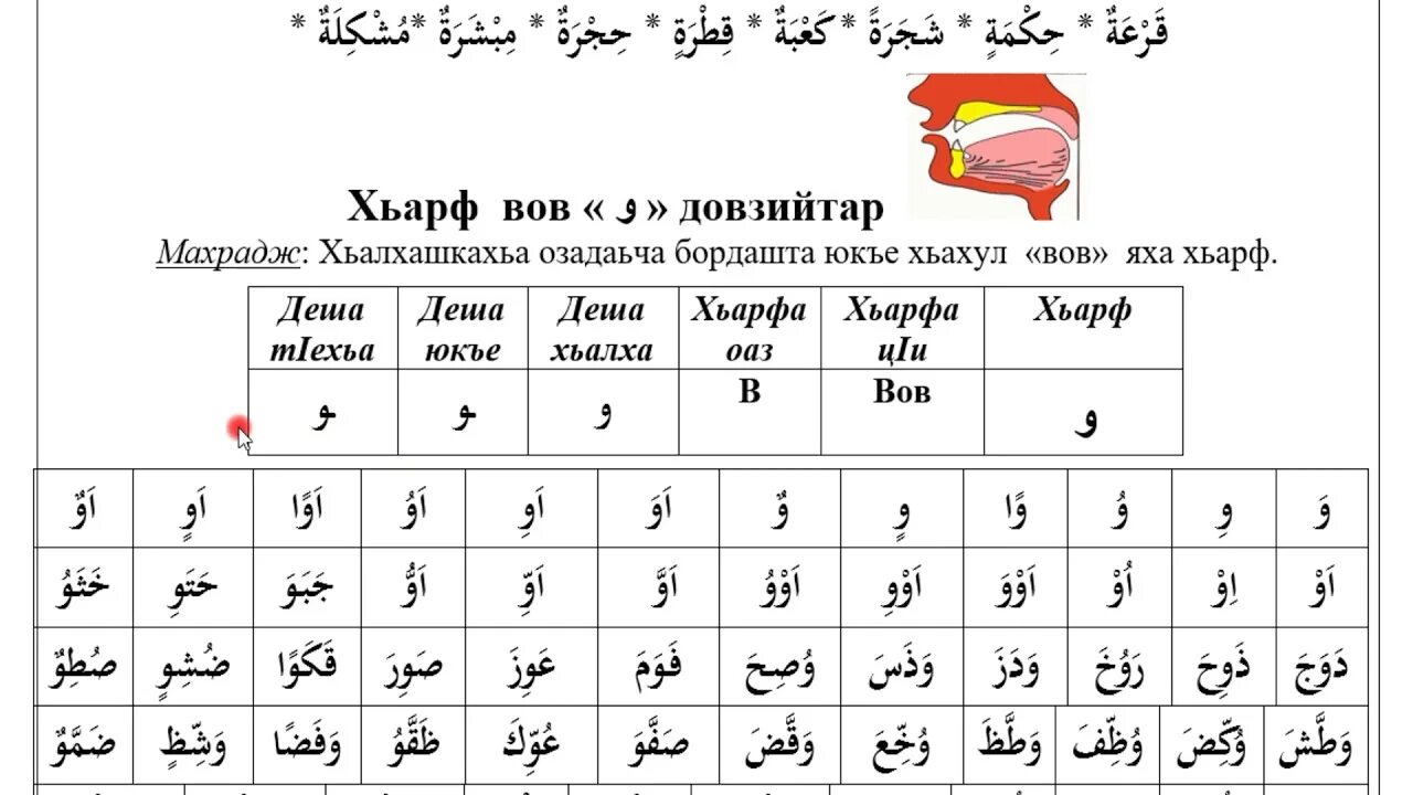 Арабский чтение для начинающих с нуля