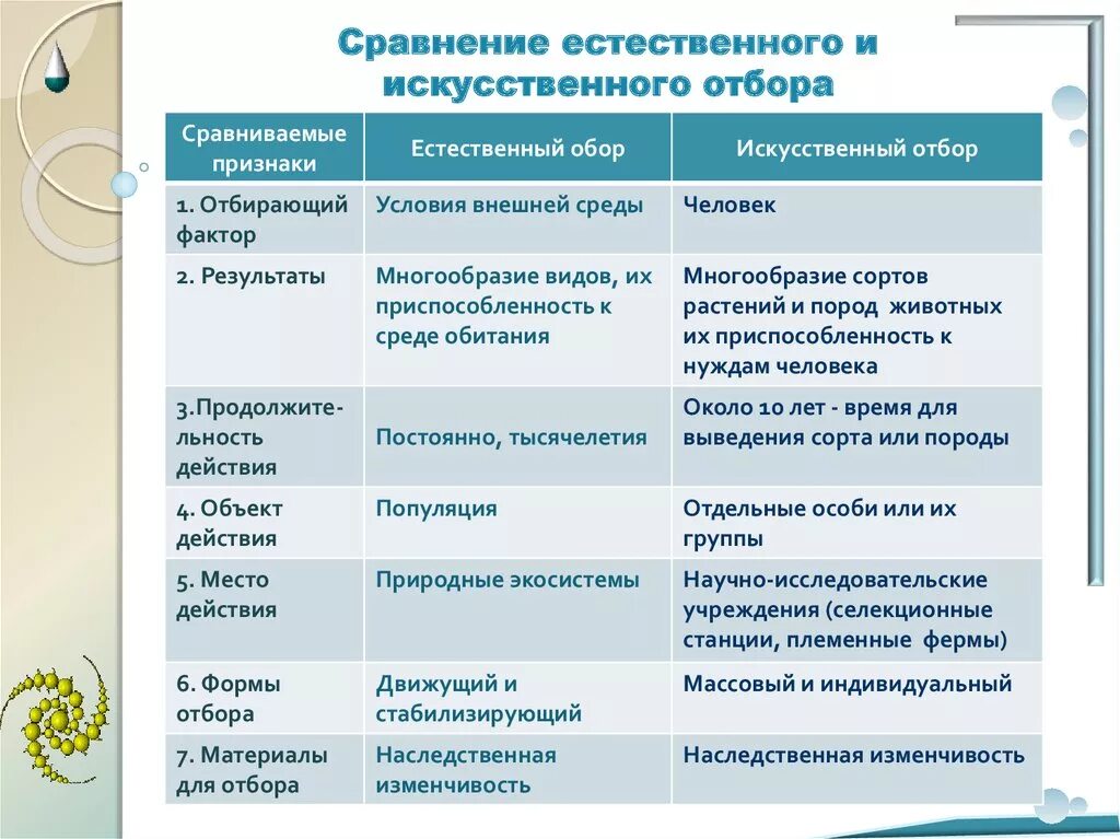 Условия среды изменяются какой отбор. Сравнение искусственного и естественного отбора таблица 9 класс. Сравнение естественного и искусственного отбора таблица 11. Характеристика искусственного и естественного отбора. Сходства и отличия естественного и искусственного отбора.