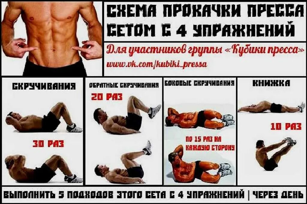 Как убрать живот и накачать пресс. Эффективные занятия для пресса в домашних условиях. упражнения для пресса для мужчин. программа прокачки пресса. схема занятий пресса.